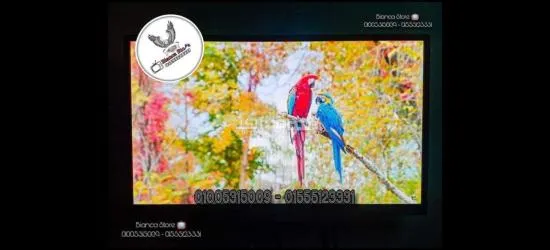 شاشة 24 بوصة أورچينال أصلية معاها رسيفر Iptv + قاعدة مكتب هيدروليك + حامل حائط