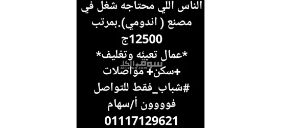 عمال انتاج لمصنع مواد غذائيه واندومي