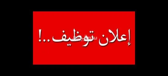 وظيفة افراد امن في العاشر من رمضان وبدر