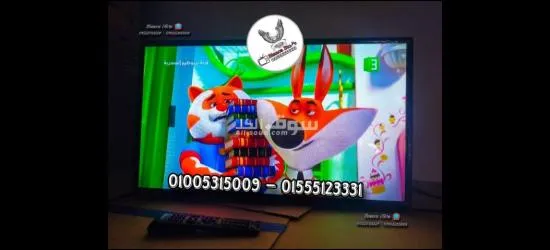 Pluto 32 Inch LED HD TV Built in Reciver Pluto_kdg32ml314eats - 2