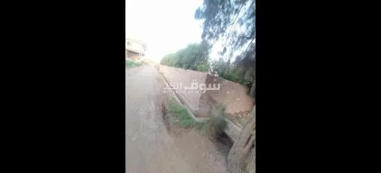 2 بيت وحديقه على 9 قيراط محاطين بسور ( كردون ) - 5