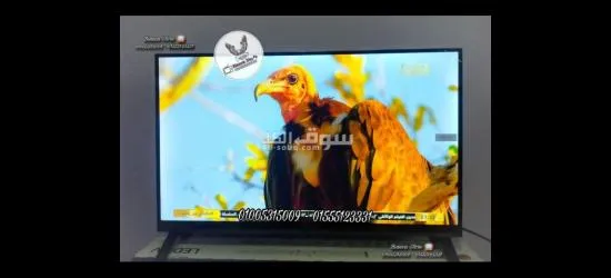 شاشات للبيع 32 بوصة سين**** رسيفر داخلي فريمليس أي كاست ضمان سنتين Syinix E324M