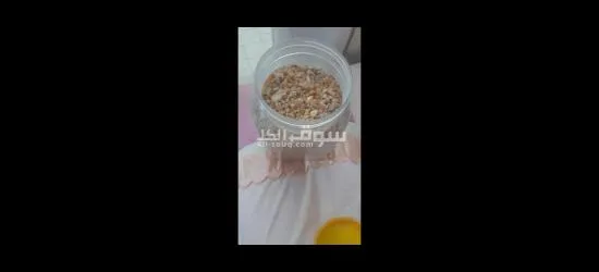 بخور اللبان الدكر يمني اصلي - 4