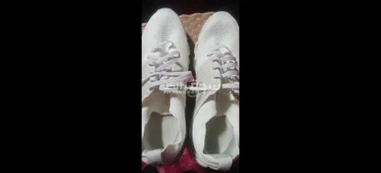 المحله الكبرى الغربيه ش محمد القيمه منزل رقم 28