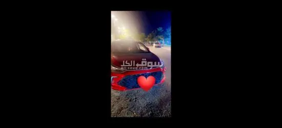 الاسكندريه فلمنج