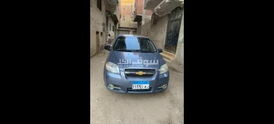 بنى عامر الزقازيق شرقية