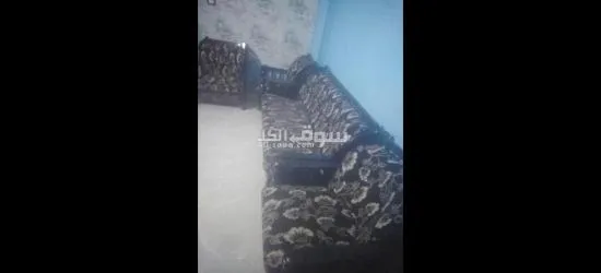 خشب زان