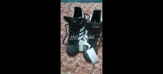 ابو حماد الشرقيه - 1