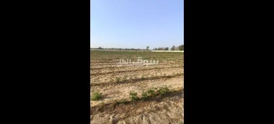 اشتري قطعه ارض 5 فدان بموقع استراتيجي كاملا المرافق وكامل الخدمات بسعر خيالي