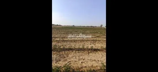 اشتري قطعه ارض 5 فدان بموقع استراتيجي كاملا المرافق وكامل الخدمات بسعر خيالي - 2