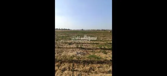 اشتري قطعه ارض 5 فدان بموقع استراتيجي كاملا المرافق وكامل الخدمات بسعر خيالي - 3