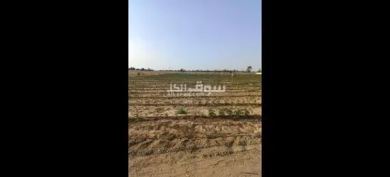 اشتري قطعه ارض 5 فدان بموقع استراتيجي كاملا المرافق وكامل الخدمات بسعر خيالي - 4