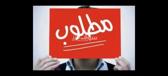 مطلوب عمال تعبئة وتغليف لمصنع صلصة بالعاشر من رمضان