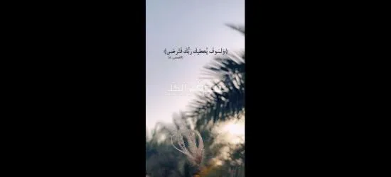 لكل ال بيدور على فرصه شغل