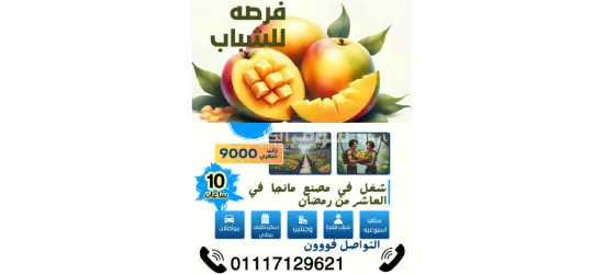 مطلوب عمال انتاج لمصنع مانجا