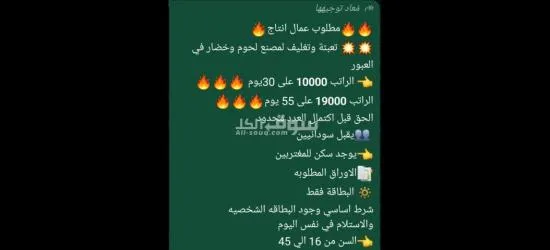 مطلوب عمال إنتاج تعبئة وتغليف لمصنع لحوم وخضار في العبور