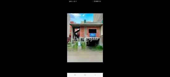 دمياط الجديده