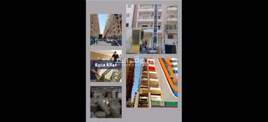 شركة الفنار لنقل ورفع الاثاث - 2