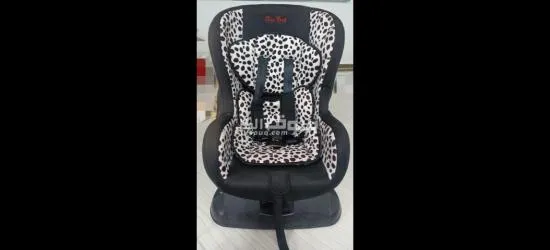 كارسيت شيكو بينتو