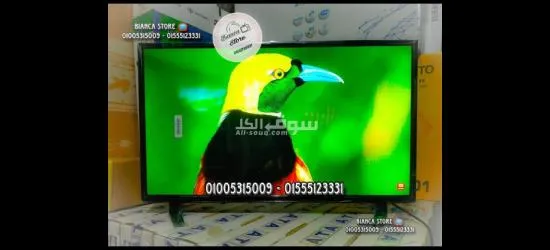 شاشة تلفزيون 32 بوصة EG بانل IPS جديدة ضمان سنتين EGLED-32DN4 - 2