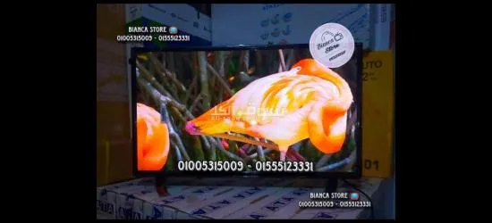 شاشة تلفزيون 32 بوصة EG بانل IPS جديدة ضمان سنتين EGLED-32DN4 - 4