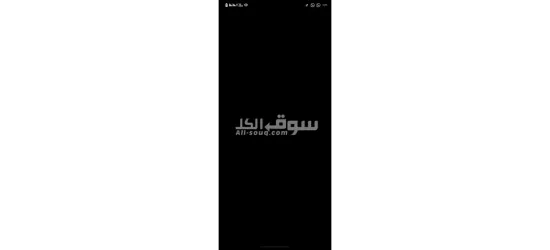 التجمع الخامس مدرسه انترناشيونال