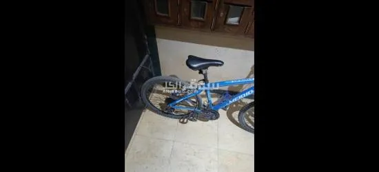 المعادي صقر قريش البحث الجنائي عمارة 2