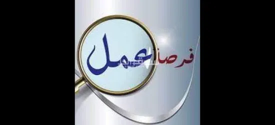 خضار و صلصة - 2