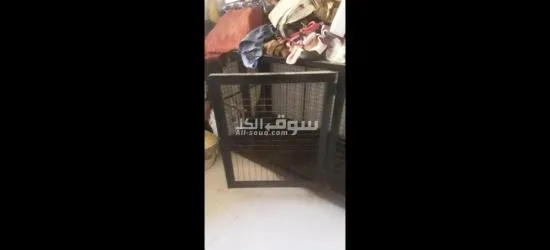 اشياء متفرقه - 5