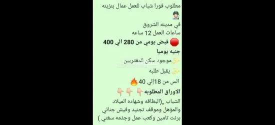 بأجر يومي الحق فرصتك معانا