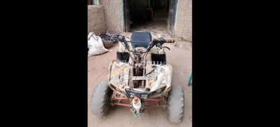 بيتش باجي اتوماتيك 110سي سي