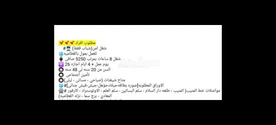 افراد امن شباب