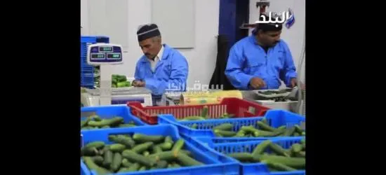 مطلوب عامل انتاج تعبئه وتغليف لمصنع لحوم وخضار ف العبور - 2