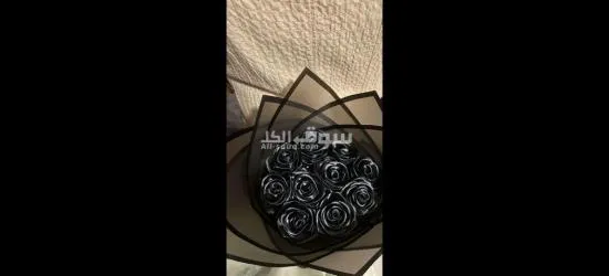 مطلوب افراد امن للعمل