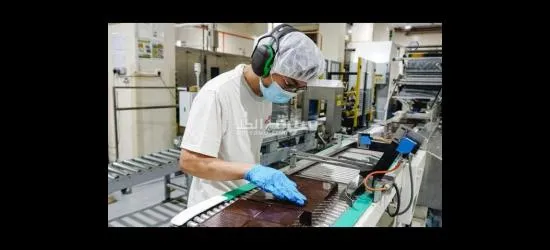 عمال انتاج لمصنع شوكولاته