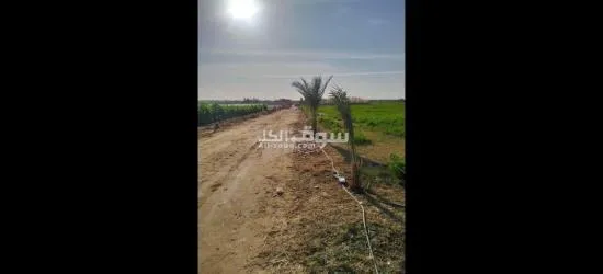 مزرعه للبيع