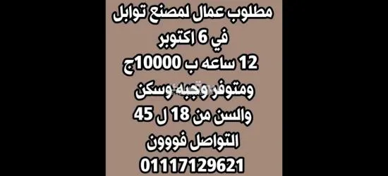 مطلوب شباب لمصنع توابل