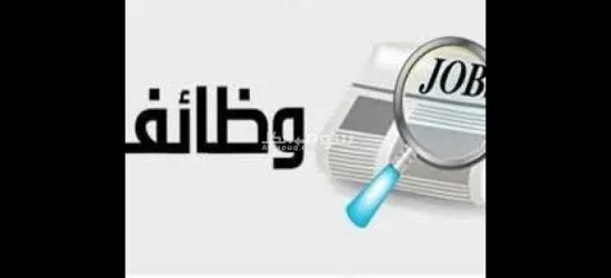 مطلوب عمال شباب في 6اكتوبر