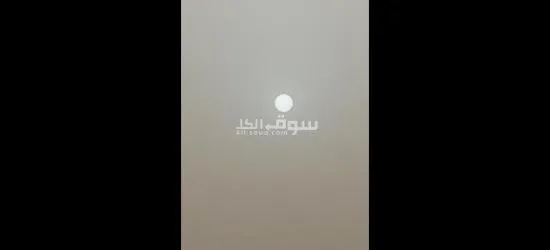 القاهره. المعادي