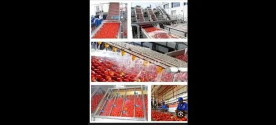 مطلوب عامل انتاج في مصنع طماطم ومواد غذائيه