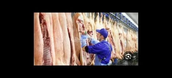 السن من 20 ل 55سنه  عامل انتاج