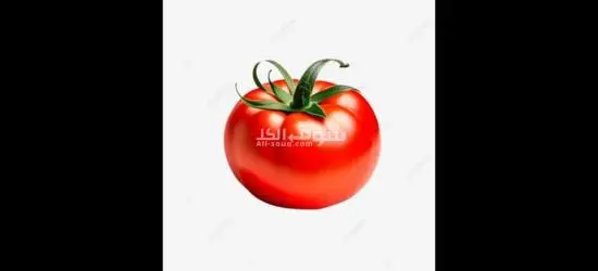 فرصه عمل للشباب في مصنع توابل بصل