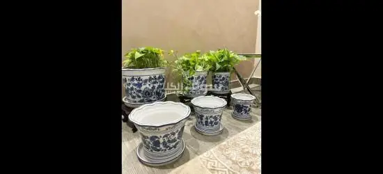 كاشبو زرع طقم