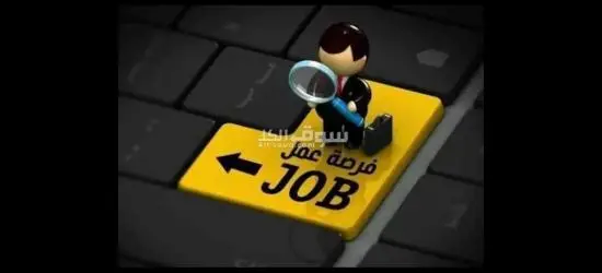 مطلوب شباب للعمل في مصنع شيبسي بالعبور