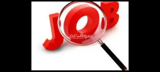 مطلوب عمال انتاج لمصنع باتيه في 6 اكتوبر