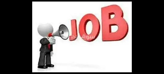 فرصة شغل مش هتتعوض في هيئة دبلوماسة في العاصمة الادارية