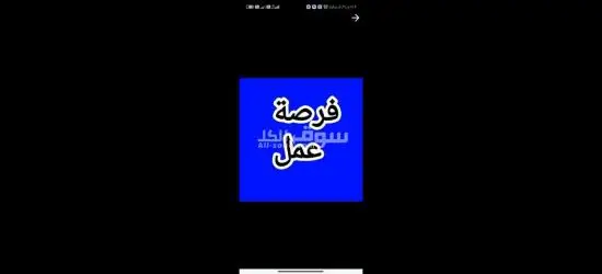 المنوفيه