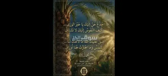 مطلوب شاب للعمل في مصنع تعبئه