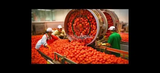 عامل انتاج شباب فقط