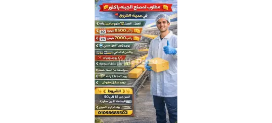 مطلوب عمال بمصنع جبنة باكتوبر